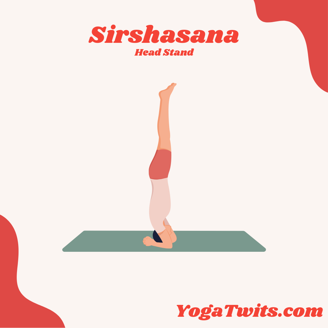 sirshasana