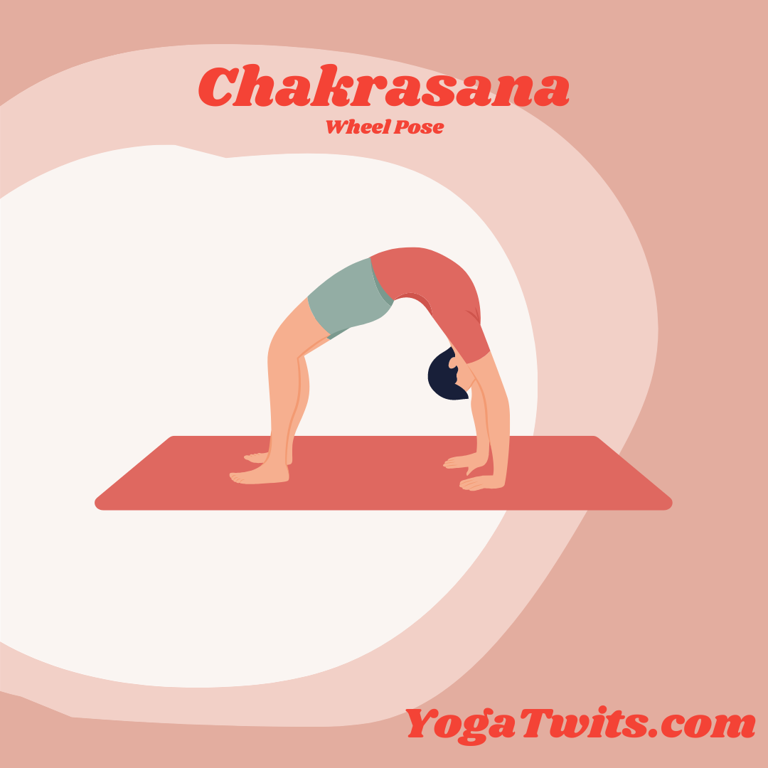 Chakrasana